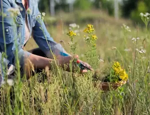 Bunte Biomasse mit neuen Konditionen verlängert