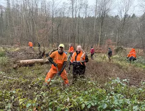 Buche-Buche-Ulme: Erfolgreiche Baumpflanzaktion in Rostock