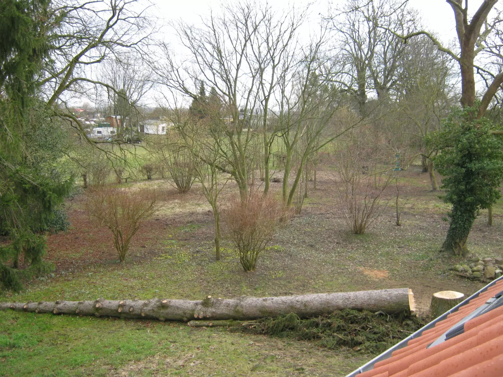 11_2014_Pfarrgarten Lubmin Wusterhusen