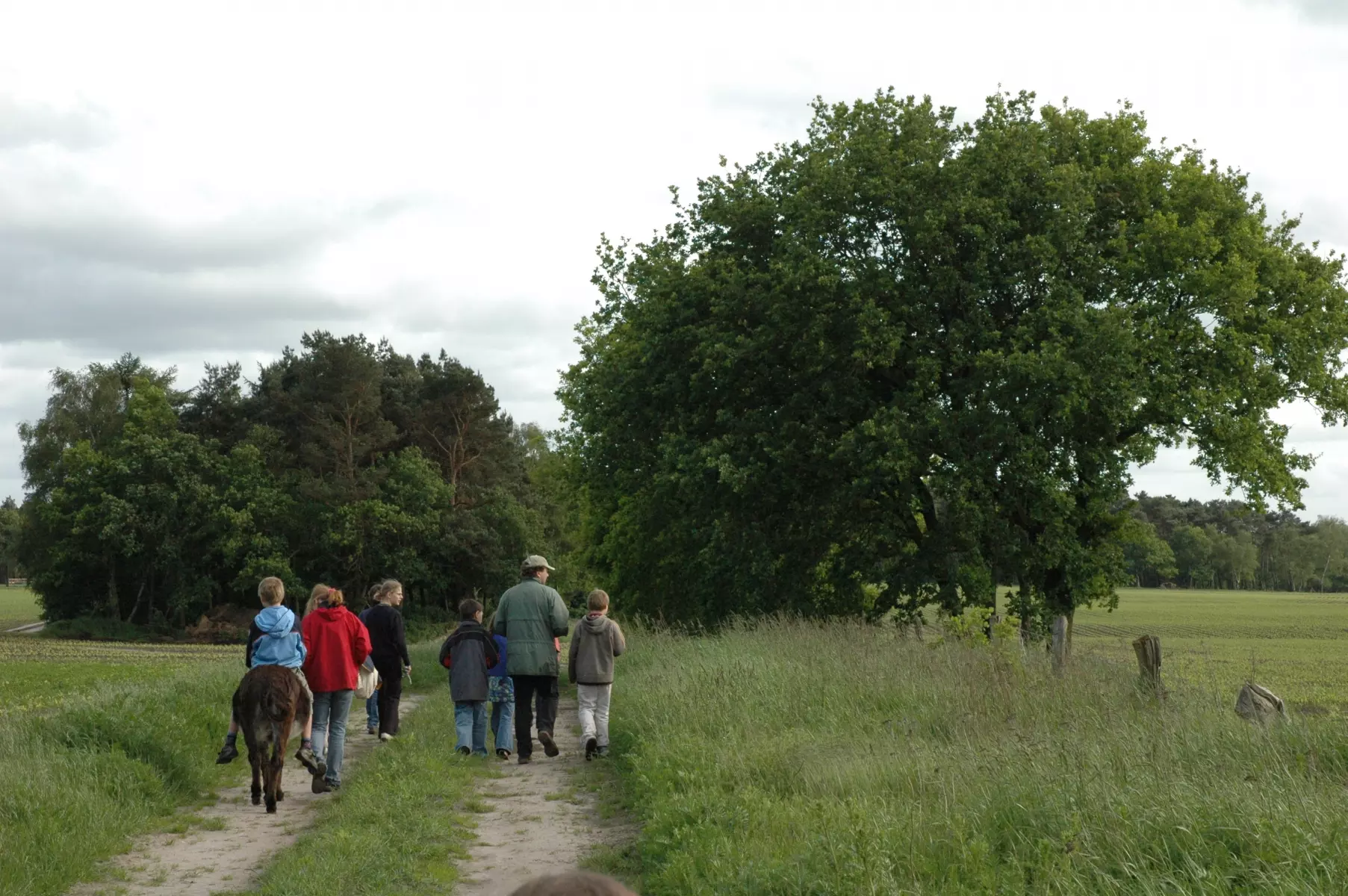 11_2015_Schullandheim Dreptefarm e.V._Barrierefreier Erlebnispfad