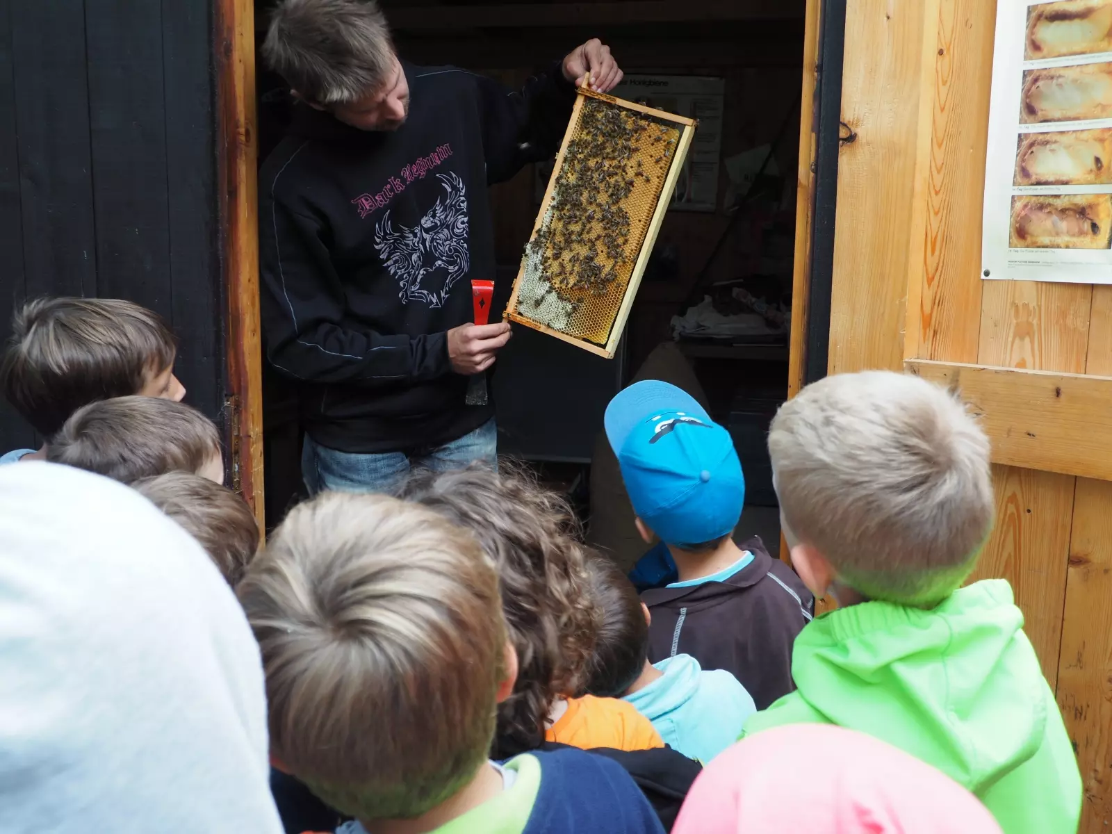 Bienenzuchtverein Seligenstadt_Von der Blüte in das Glas