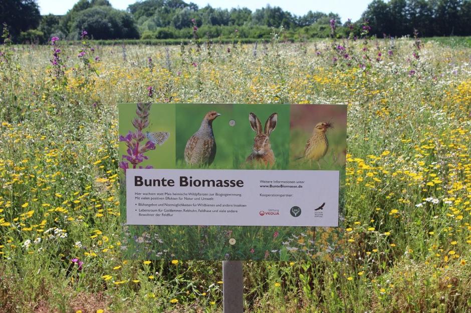 Bunte Biomasse Projektfläche mit Beschilderung