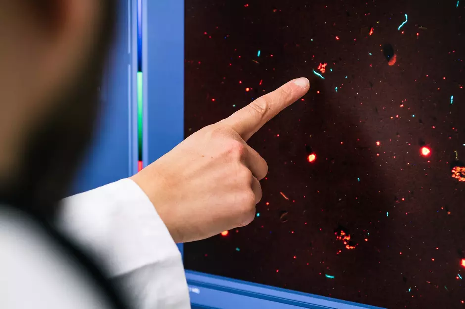 Mikroplastik Analyse