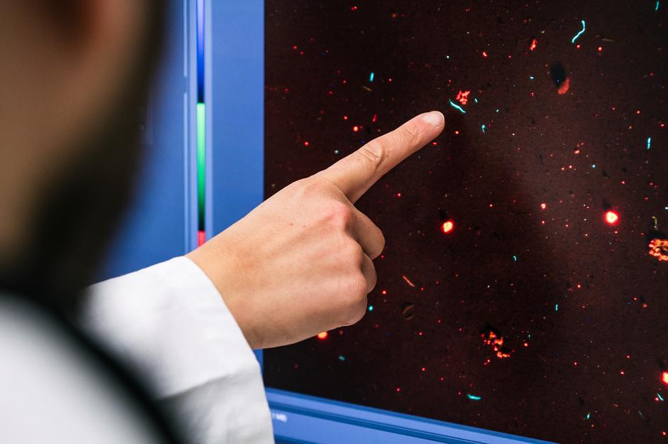 Mikroplastik Analyse