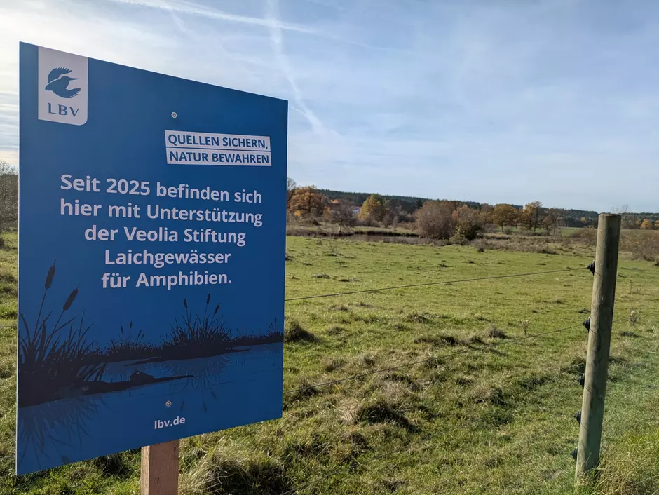 Veolia Stiftung unterstützt Amphibienschutz des LBV in Bayreuth
