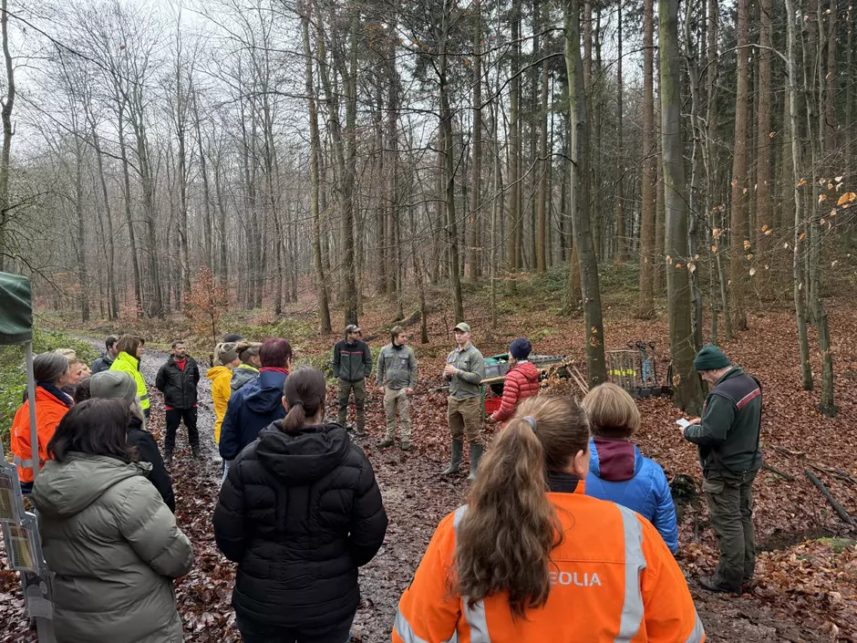 Buche-Buche-Ulme: Erfolgreiche Baumpflanzaktion in Rostock
