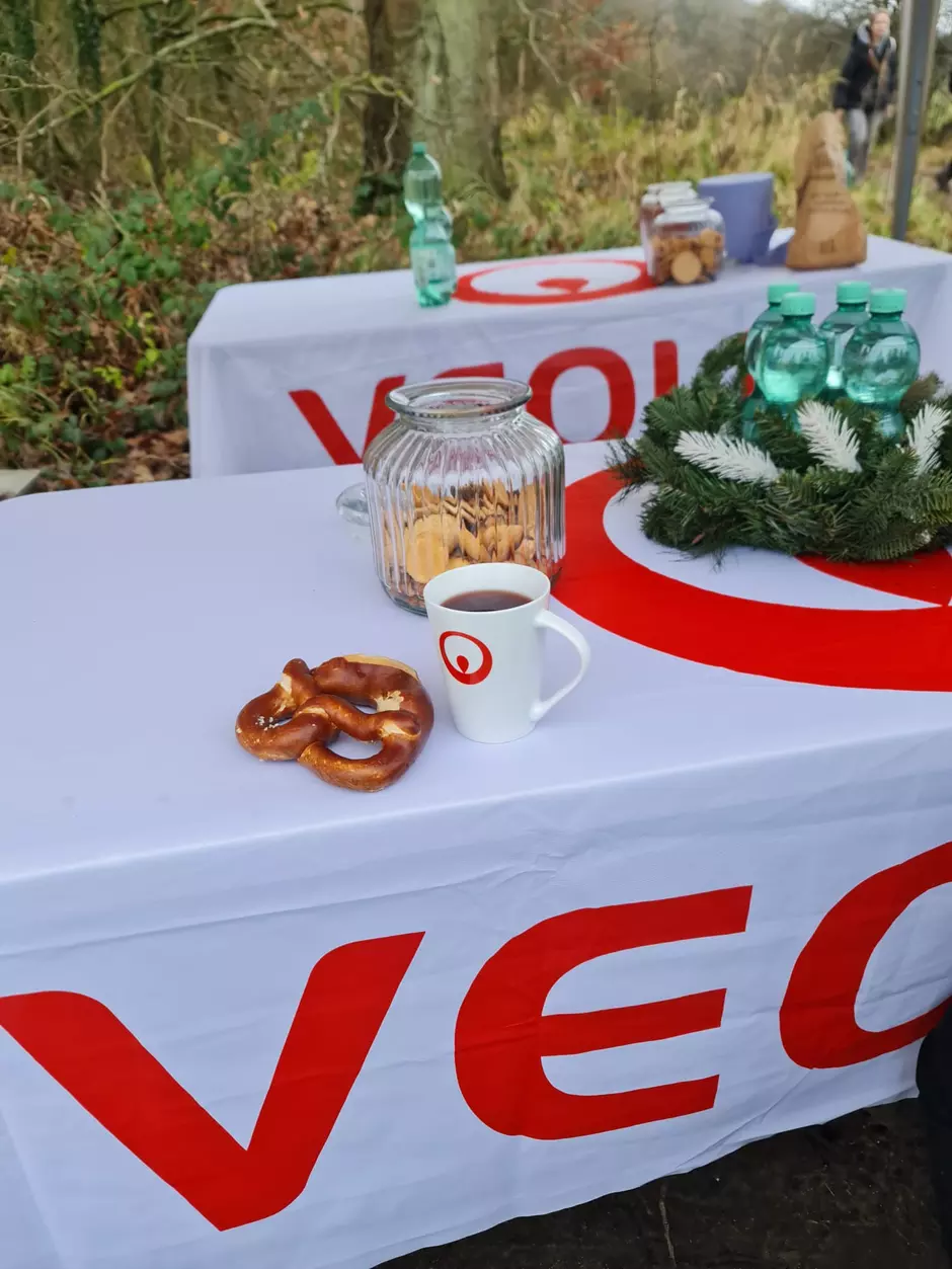 Buche-Buche-Ulme: Erfolgreiche Baumpflanzaktion in Rostock