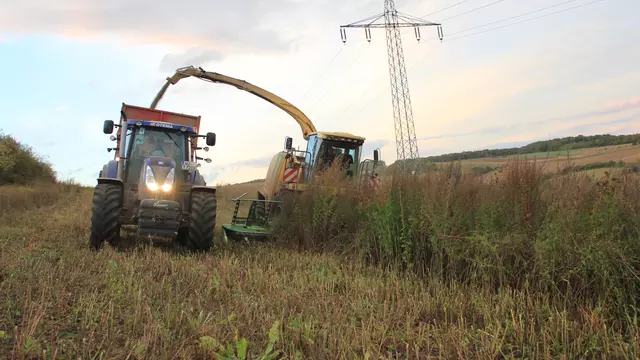 Biogas aus mehrjährigen Wildpflanzenkulturen ist eine wirtschaftliche und ökologische Alternative zum Mais
