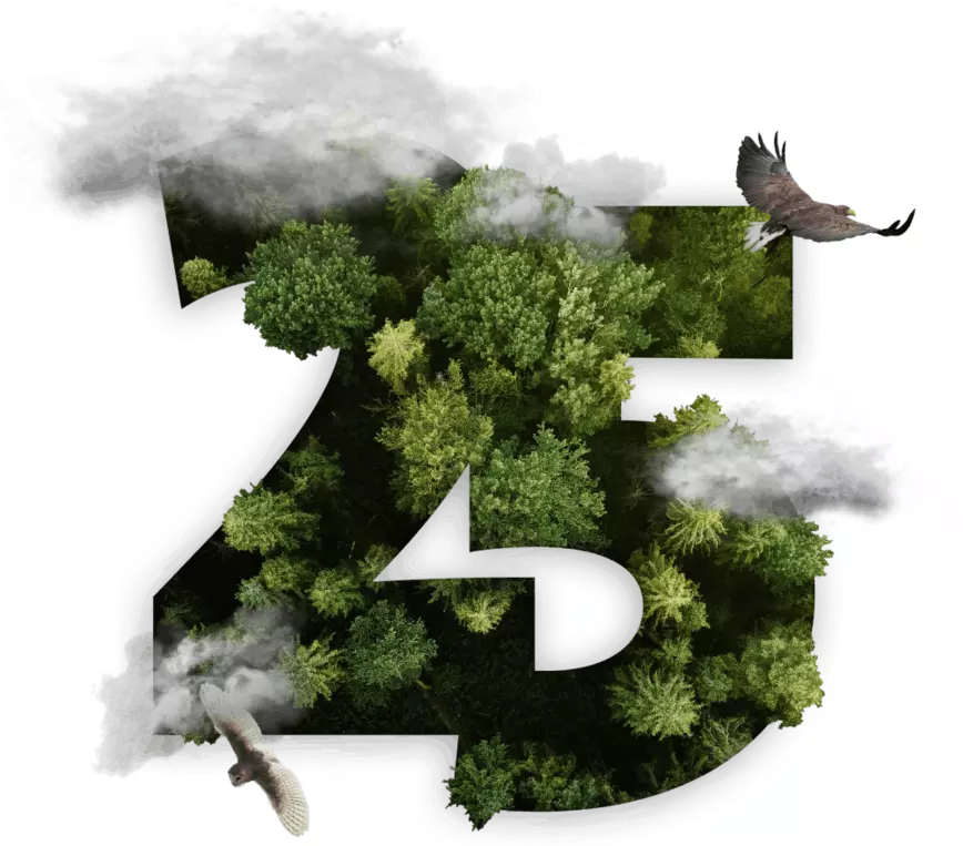 25 Jahre Stiftung
