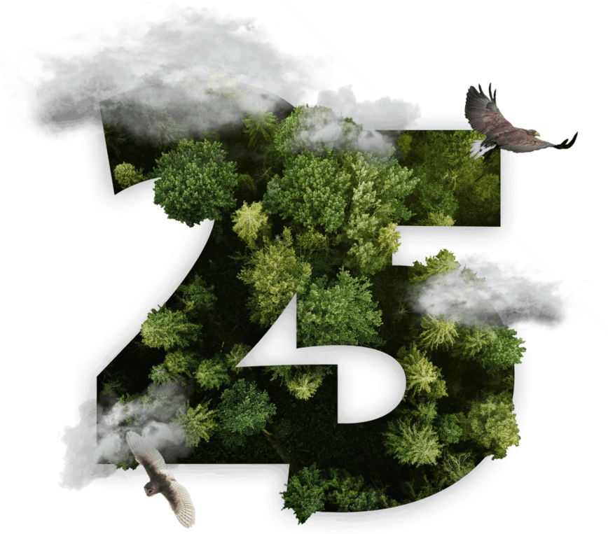 25 Jahre Stiftung