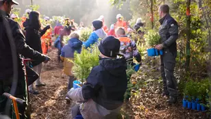 850 Bäume für den Klimaschutz: Gemeinsame Aufforstungsaktion zum 25. Geburtstag der Veolia Stiftung