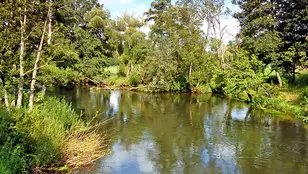 Veolia Stiftung und Veolia Foundation fördern grenzüberschreitendes Forschungsprojekt NEISSE TOTAL - Erstmals vollständige Erfassung eines 256 Kilometer langen Flusses mit KI-gestützter Technologie